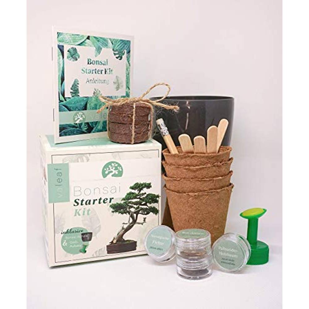 BonsaiStarterKit Test & Vergleich » Top 13 im Oktober 2024