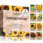 Valeaf Sonnenblumen-Mix Sonnige Vielfalt