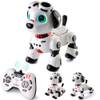 Varrotoy Roboter Hund