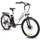 Varun E-Bike Pendlerfahrrad
