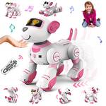 Roboterhund
