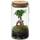 Vdvelde Bonsaiworld Bonsai Ginseng