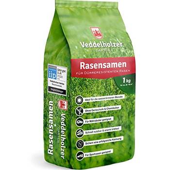 Rasensamen Test & Vergleich Top 10