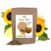 Biotanica Fleischersatz aus BIO Sonnenblumenprotein