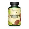 Cordyceps