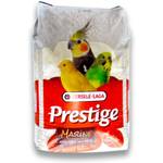 Vogelsand