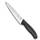 Victorinox Swiss Classic 6.8003.15G