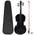 vidaxl Violine Komplettset