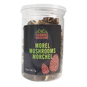 Vigorous Mountains Morel Mushrooms Morchel Vergleich