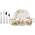Villeroy & Boch Hungry as a Bear Kinder-Tafelset