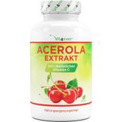 Vit4ever Acerola Extrakt Vergleich