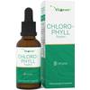 Vit4ever Chlorophyll Tropfen 100 ml