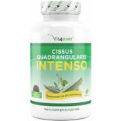 Vit4ever Cissus Quadrangularis Intenso Vergleich