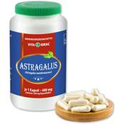 Vita Ideal Astragalus Vergleich