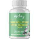 Vitabay Granatapfel Extrakt