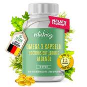 Vitabay Omega 3 Kapseln Vergleich