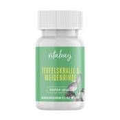 Vitabay Teufelskralle & Weidenrinde Vergleich