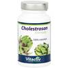 ‎Vitactiv Cholestrosan Formula