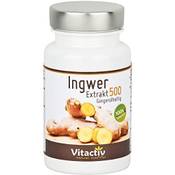 Vitactiv Natural Nutrition Ingwer-Extrakt 500 Vergleich