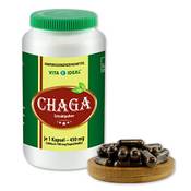 Vita Ideal Chaga Pilz Extrakt Kapseln Vergleich