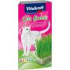 Vitakraft Katzengras