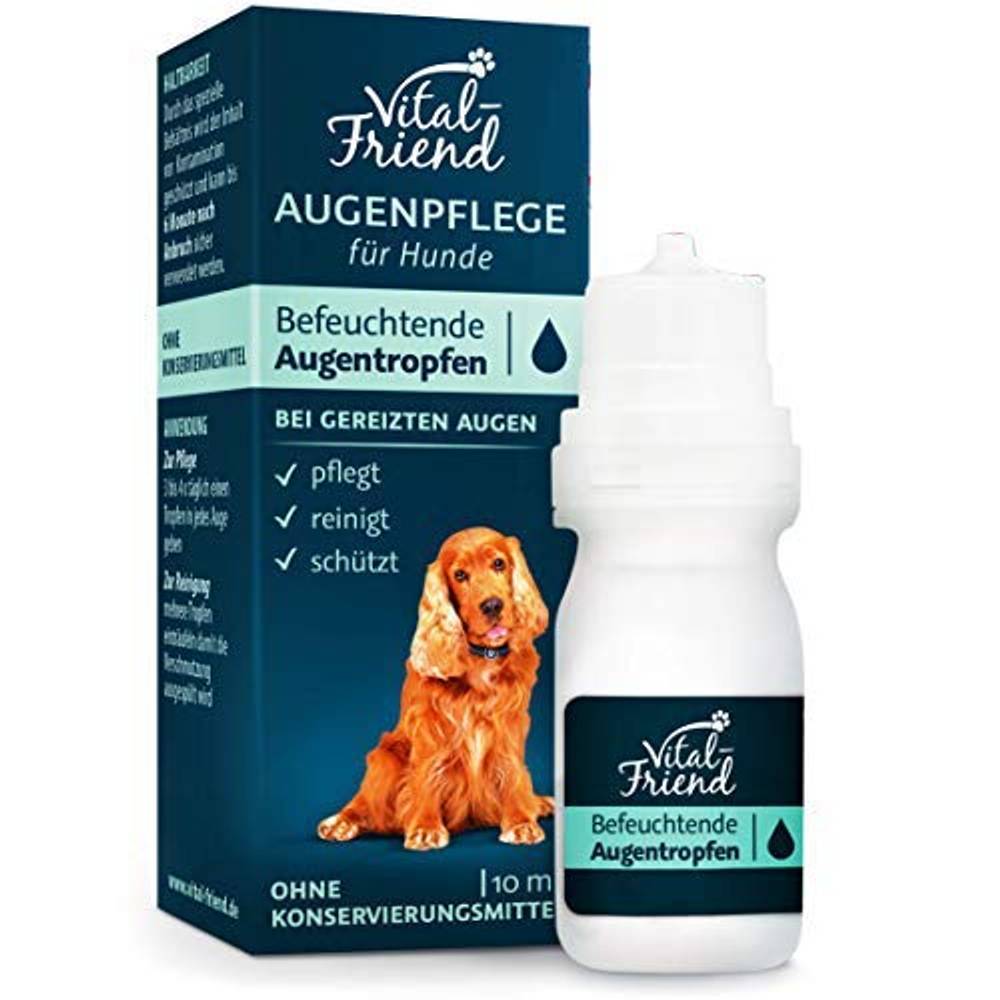 Augentropfen Fur Den Hund