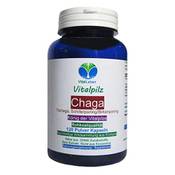 Vitalleben Chaga Kapseln Vergleich
