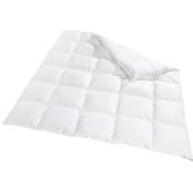 VitaloBett Winter-Daunendecke