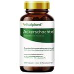 Vitalplant Ackerschachtelhalm Extrakt