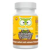Vitamineule Bio Flohsamenschalen