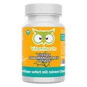 Vitamineule Cissus Quadrangularis