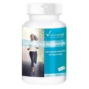 Vitamintrend Teufelskralle & Weidenrinde