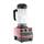 Vitamix 5200 RD