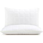 Vitapur Little Prince