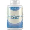 Vitasyg Grünlippmuschel Kapseln