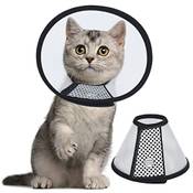 Vivifying Halskrause Katze Vergleich