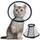 Vivifying Halskrause Katze