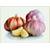 Vmoli Pflanzknoblauch
