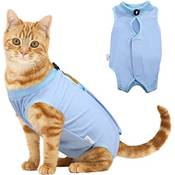 Voarge Katzenbody