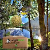 Vogelfood 4 Jahreszeiten Meisenknödel mit Netz Vergleich