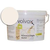 Volvox 036