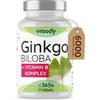 VROODY Vegan Ginkgo Biloba Extrakt 6000mg