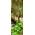 wandmotiv24 M0397-TT-S-70