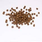 Warnick's pet food service Koi-Winterfutter