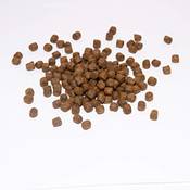 Warnick's pet food service Koi-Winterfutter