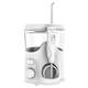 Waterpik WF-06 Whitening Vergleich