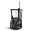 Waterpik WP-672