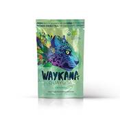 Waykana Guayusa Bio Guayusa Tee Vergleich