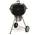 Weber 14501001