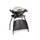 Weber Q1000 Gasgrill mit Stand